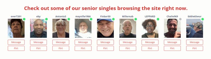 Dating for Seniors Review Profiles