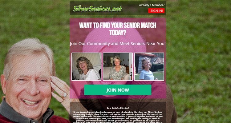 Silver Seniors Review Homepage