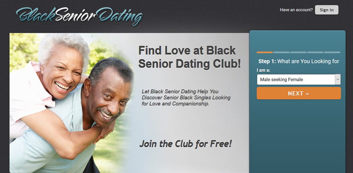 Black Senior Dating printscreen homepage