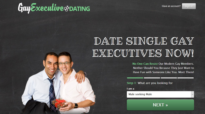 Gay Executive Dating printscreen homepage