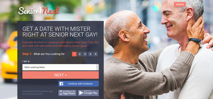 Gay Senior Next printscreen homepage