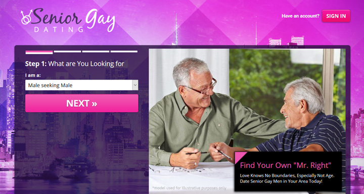 Senior Gay Dating printscreen homepage